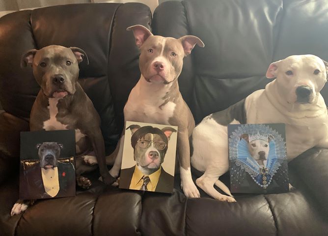 The Movie Star Custom Pet Portrait Canvas - Noble Pawtrait