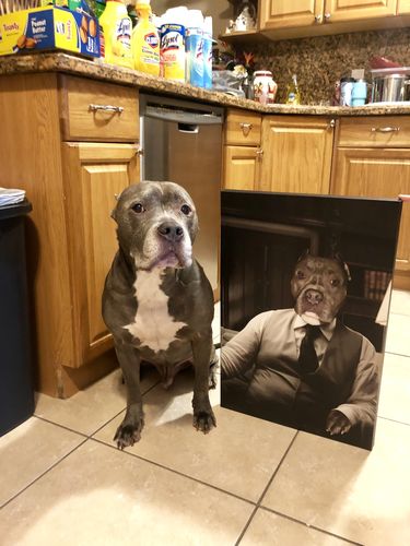 The Boss Custom Pet Portrait Canvas - Noble Pawtrait