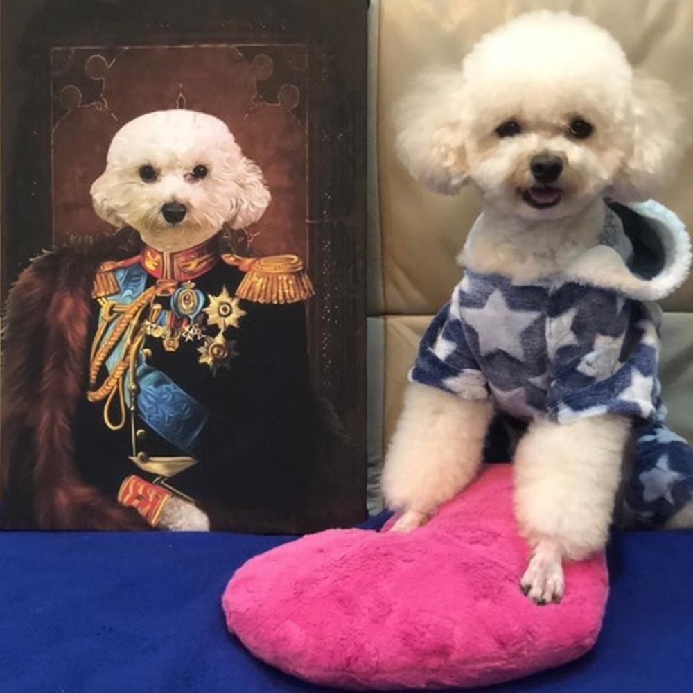 The General Custom Pet Portrait Canvas - Noble Pawtrait