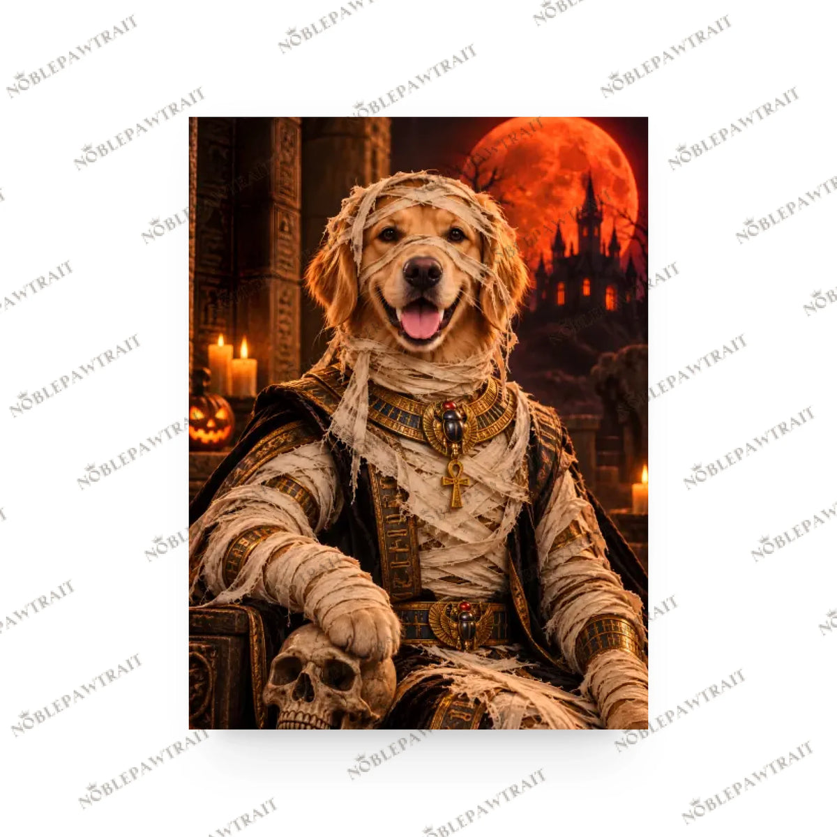 1eb458d8-d2df-4b0d-95a4-9e6086f781d7