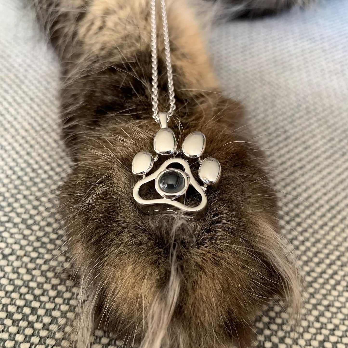 Personalized Pet Photo Necklace - Buy 01 Get 01 Free