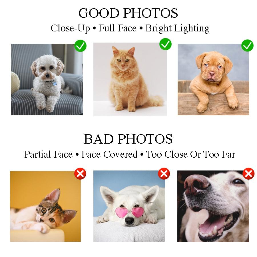 2 Bad Paws Custom Pet Portrait Digital Download