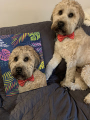 Custom Pet Canvas - Noble Pawtrait