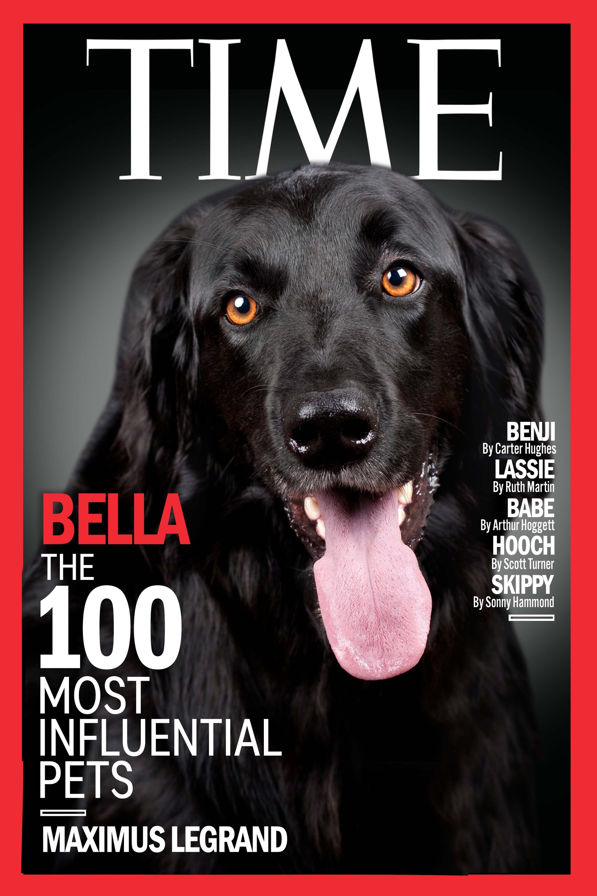 The Time Cover Custom Pet Portrait Digital Download - Noble Pawtrait