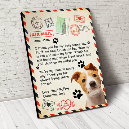 Paw Mail For Mom Custom Pet Portrait Canvas - Noble Pawtrait