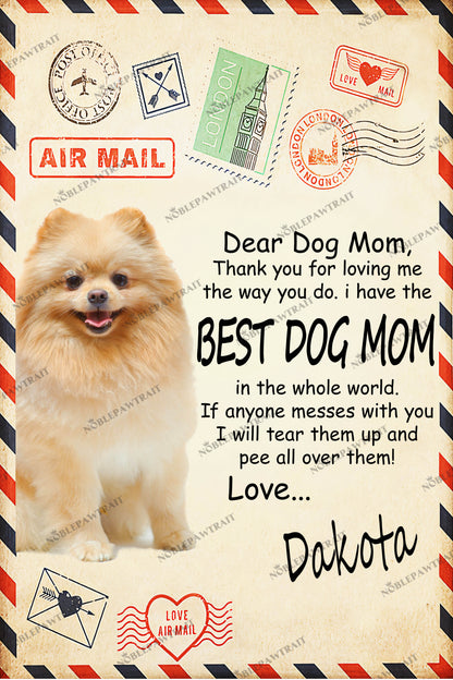 Paw Mail Mom Gift Custom Pet Portrait Digital Download - Noble Pawtrait