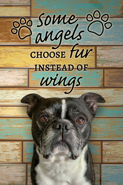 Fur Angel Custom Pet Portrait Digital Download - Noble Pawtrait