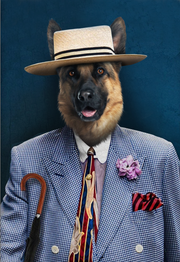 New in Town Custom Pet Portrait - Noble Pawtrait