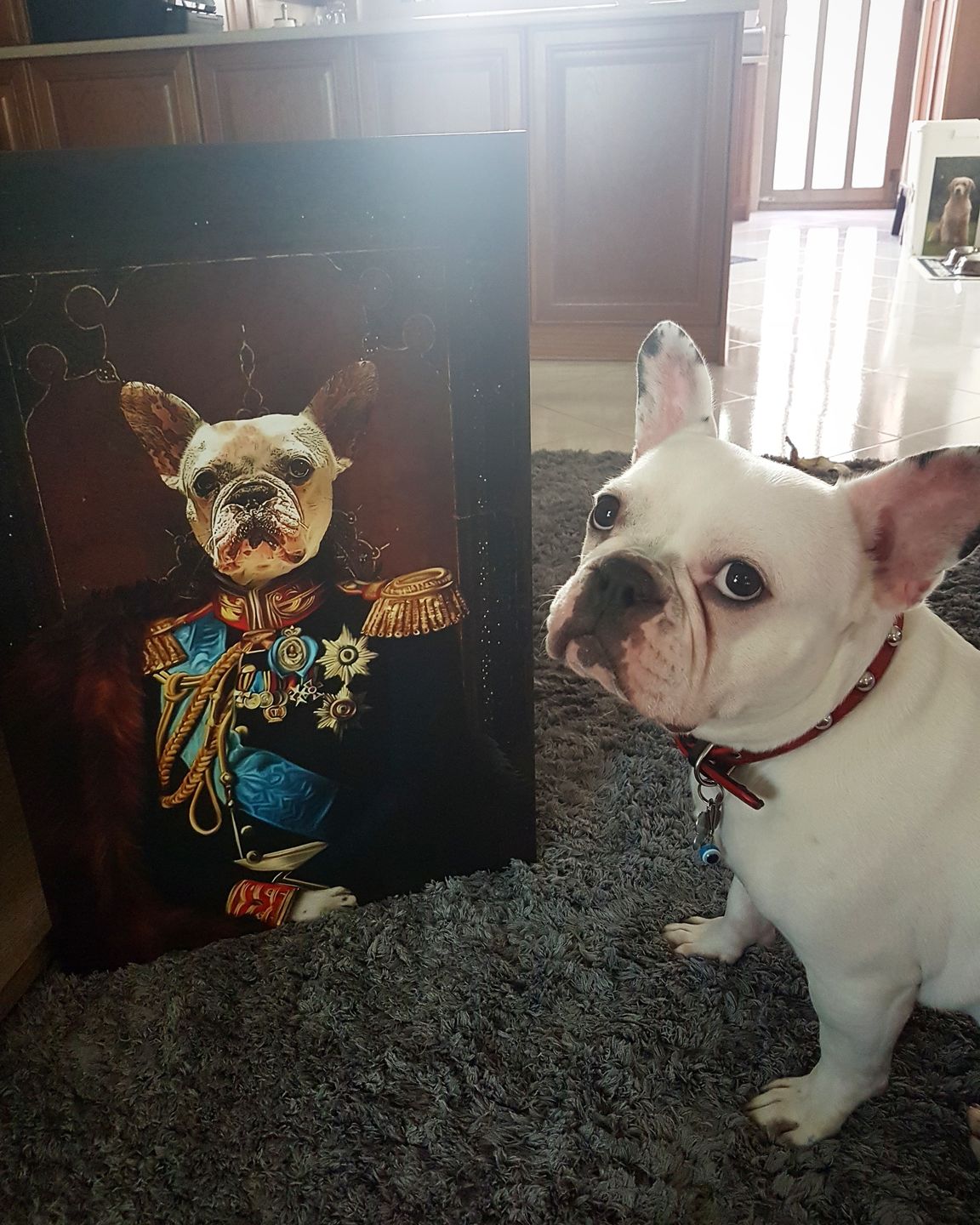The General Custom Pet Portrait Canvas - Noble Pawtrait