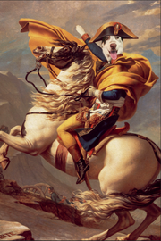 The Rider Custom Pet Portrait - Noble Pawtrait