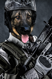 The US Army Custom Pet Portrait - Noble Pawtrait