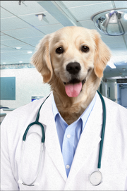 The Doctor Custom Pet Portrait - Noble Pawtrait