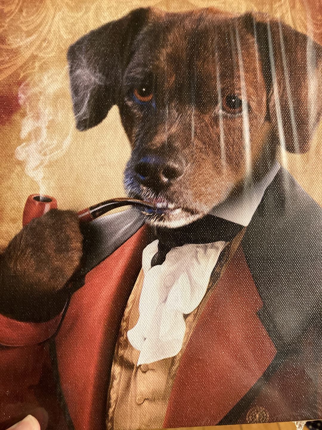 The Novelist Custom Pet Portrait Canvas - Noble Pawtrait